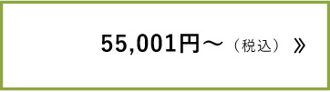 55,001円～税込
