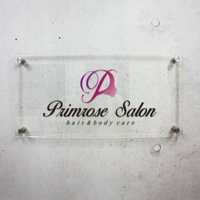 フルカラー透明アクリル銘板 化粧ビス止め　H300×W600mm 