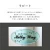ラピート　楕円形のガラス調アクリルとステンレスを重ねた銘板館lightオリジナル商品