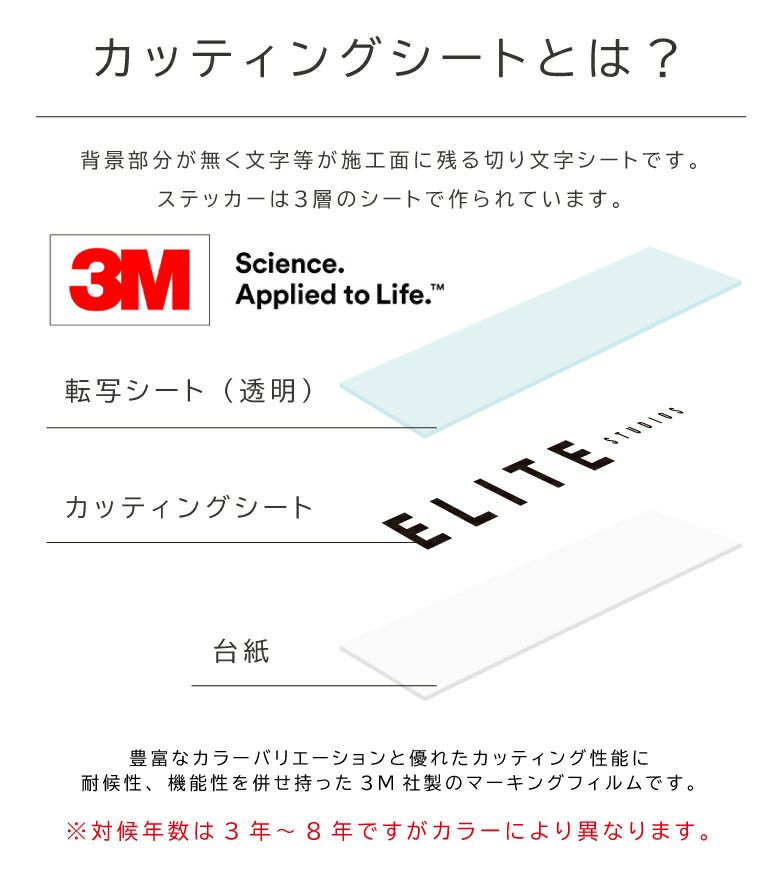 カッティングシート文字 切り文字 転写シール H100×W300mm カッティングステッカ ー 車 窓ガラス 看板 会社 店舗看板 文字シール 防水  屋外 鏡文字可能 漢字 ひらがな カタカナ 数字 英字 日本製 ステッカー製作 cutsheet-1030