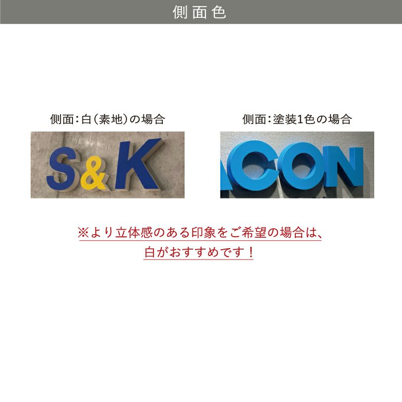 銘板館ライト　側面色　カルプ切り文字