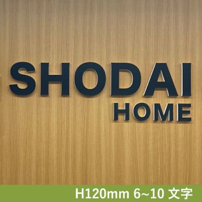 カルプ切り文字　簡単設置　会社銘板　事務所看板