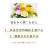 花を長く保つために