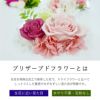 プリザーブドフラワーの説明